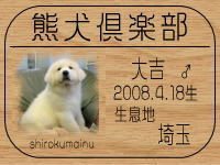 ���񑾃}�}����̂a�k�n�f�ւf�n�I